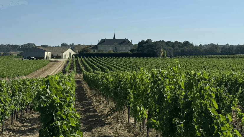 Entre vignes et clochers : la route des initiés