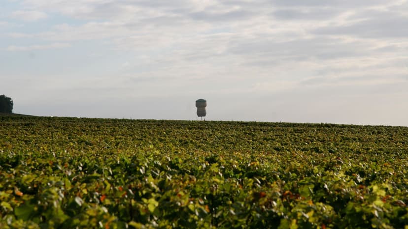 Le Relais du Vigneron