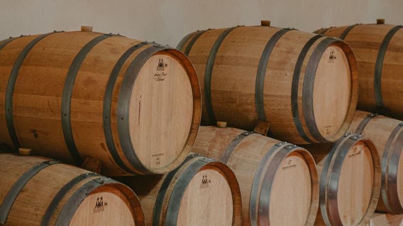 Visite des chais et dégustation de vins