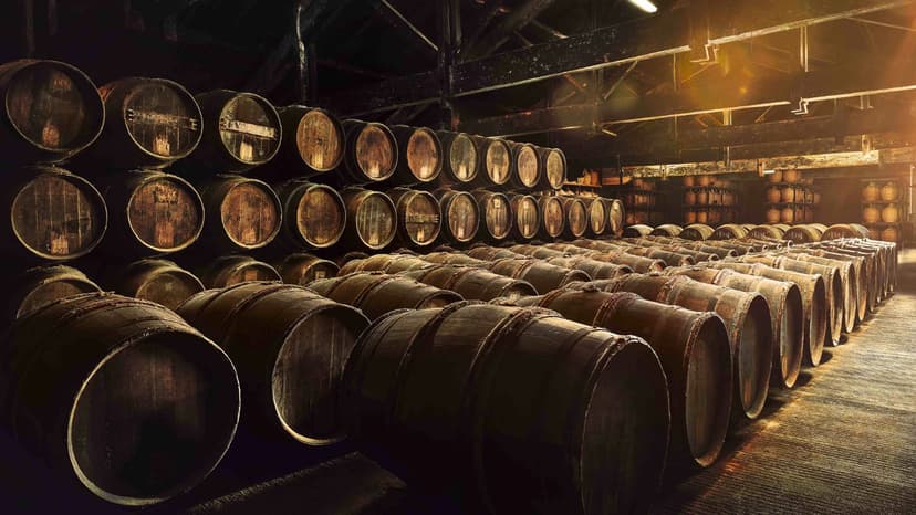 Hennessy Initiation Immersive