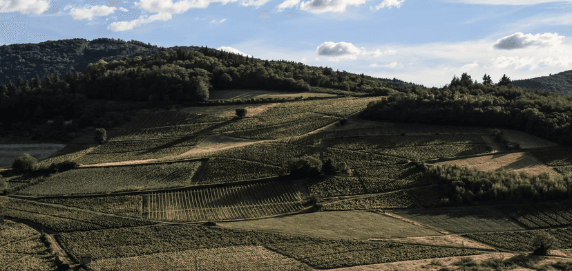 Le sentier pédestre
