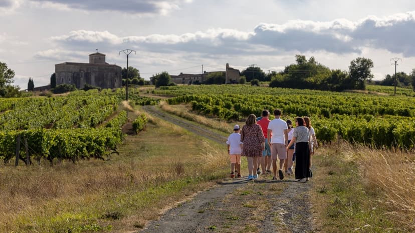 De nos vignes à votre palais, à pied