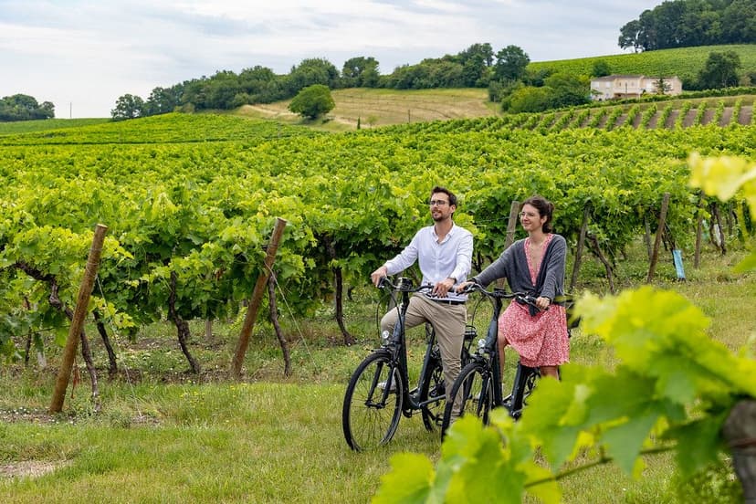 Destination Vignoble