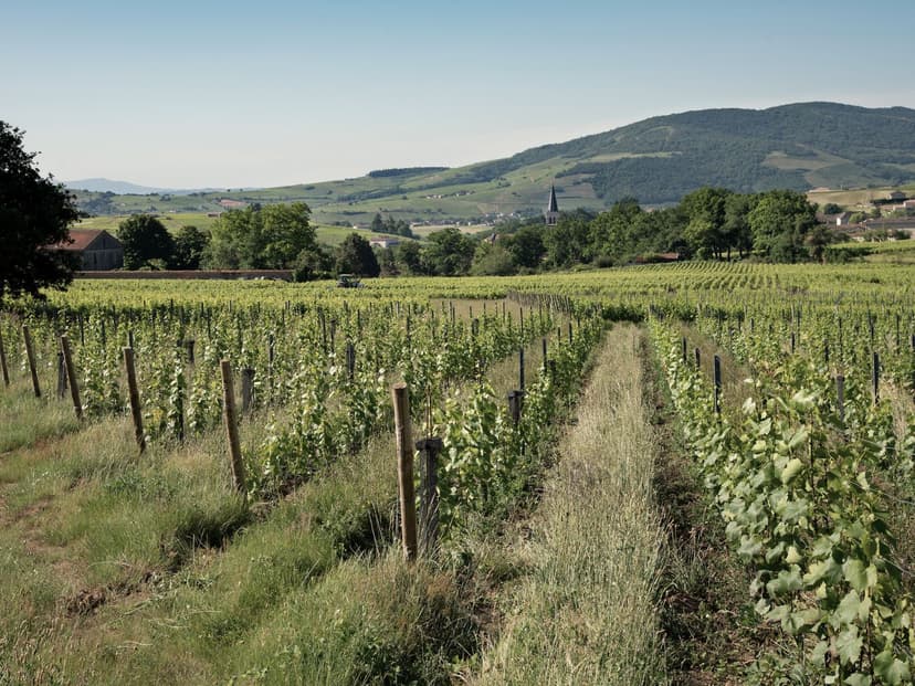 Balade en agroécologie à Lantignié