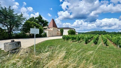 Between vineyards and bell towers: departure from Saint-Émilion