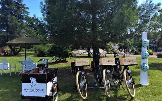 Electric bike in Bordeaux vineyards - la Bulle Verte