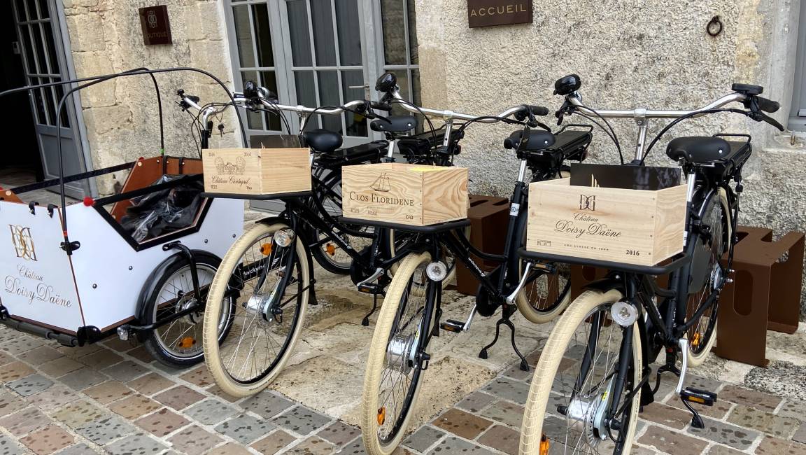 The Dubourdieu vineyards by electric bike! - 1