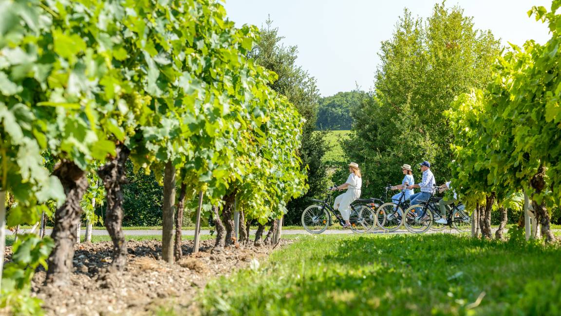 Exploration tranquille entre vignes et distillerie ! - 1