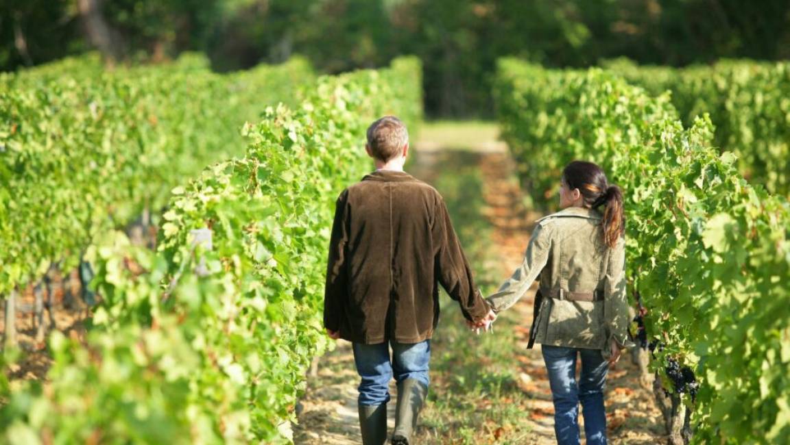 Winegrower's path - Walking route - 1