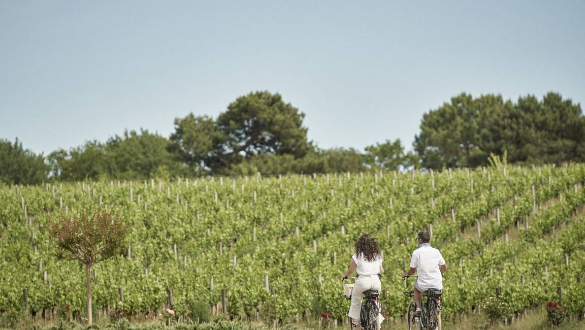 "Echappée Belle à Margaux" Parcours 10 kms - 1