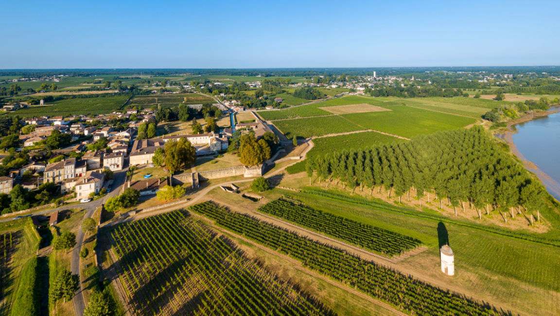 "Un port sur la Vigne" - Balade pédestre - 1