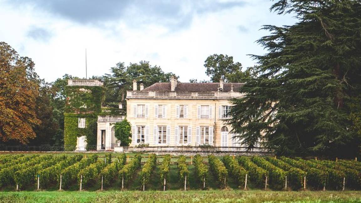 Winegrower's walk at Château du Taillan - 1