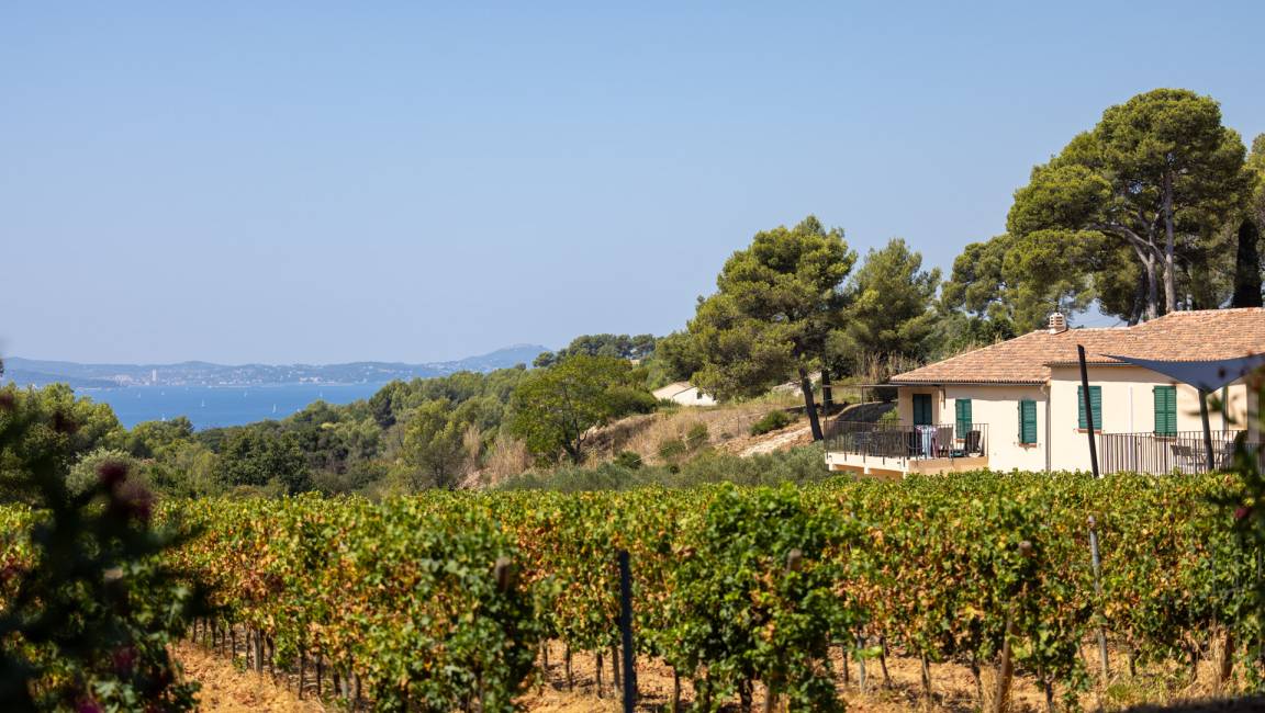 Aventure Vigneronne - 1