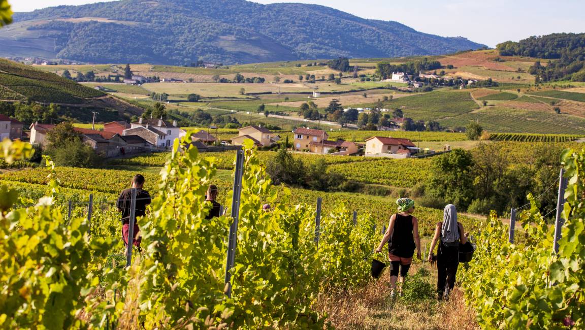 Le sentier pédestre - 1