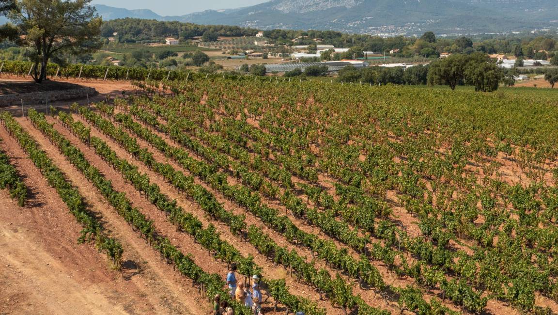 Winegrower Adventure - seminars - 1
