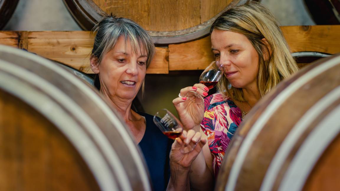 From our vines to your palate - 1