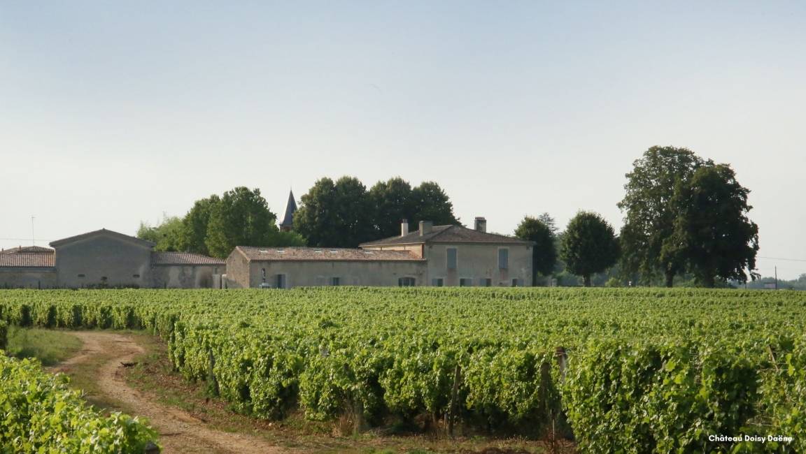 The Golden Wine Loop between Barsac and Sauternes - 40 km - 1