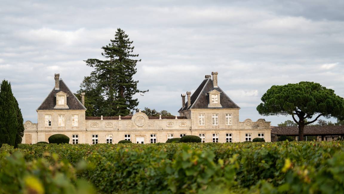 Along the Garonne: a bucolic walk between Cérons and Podensac - 9km - 1