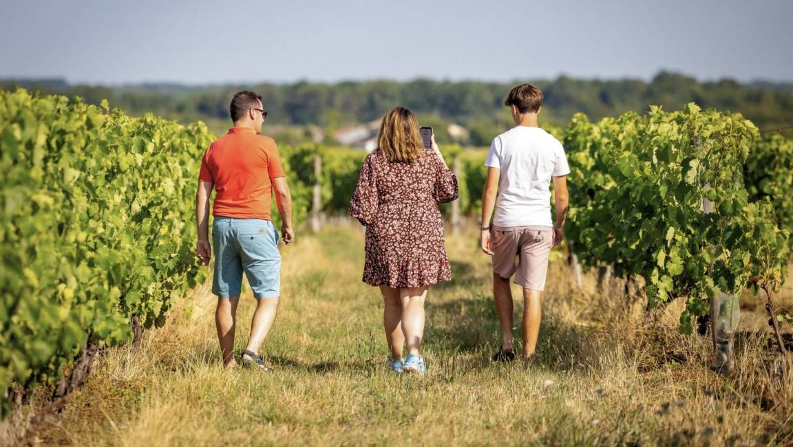 From our vines to your palate, on foot - 1