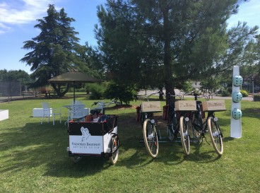 Bike and wine