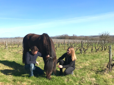 Parcours Spirit of Terroir