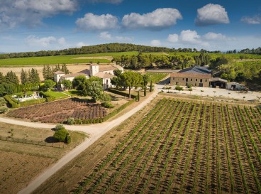 A la découverte des vignes et terroirs de Châteauneuf- du- Pape