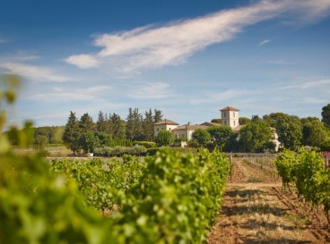 Sentier Vigneron - Parcours pédestre