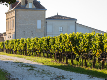 Discovering the vineyards of Pomerol