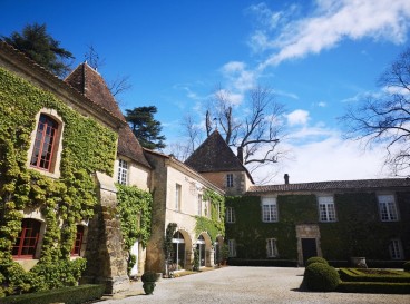 Walk between vineyards and forest