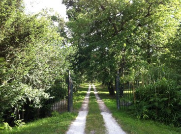 Meet Emma - Walking trail