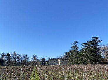 Winegrower's walk at Château du Taillan