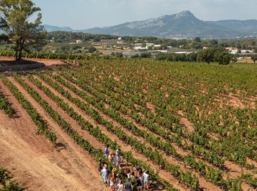 Winegrower Adventure - seminars