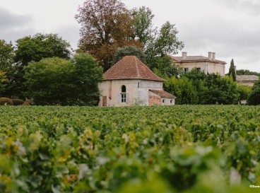 Between the vineyards and the Garonne, a journey to the heart of Graves - 35 km