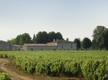 The Golden Wine Loop between Barsac and Sauternes - 40 km
