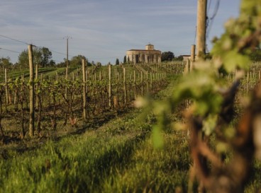 From our vineyards to your palate, by bike