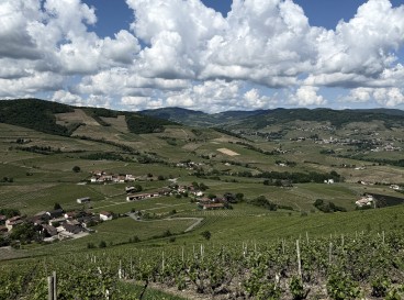 A little bucolic visit to Brouilly