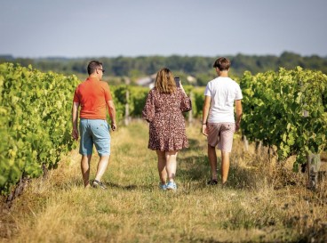 De nos vignes à votre palais, à pied