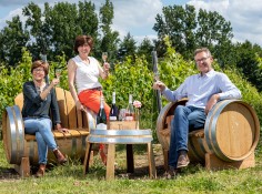 Vignobles Raguenot - Bordeaux Côtes de Blaye
