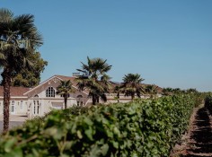 Château Larrivet Haut-Brion