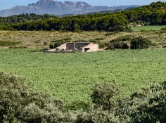 Domaine La Cadenière