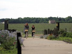 La Bulle Verte station in Cérons