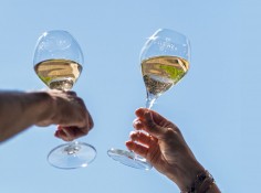 Domaine Bauchet