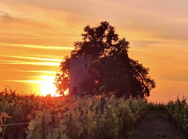 Une Bulle Verte au Château Vieille Tour !