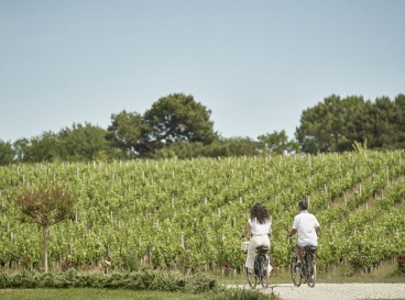 Visit vineyard by bike !