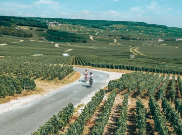 Champagne, un vignoble authentique du plus célèbre des vins français