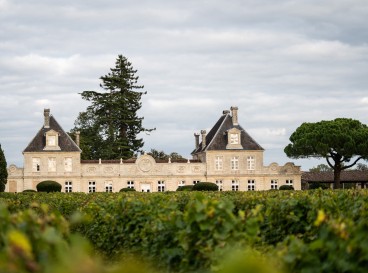 A nature weekend in Bordeaux: sustainable addresses in the vineyards