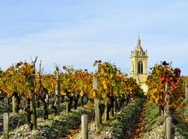 Portes Ouvertes des Vignobles Bordelais: An Autumn of Exploration