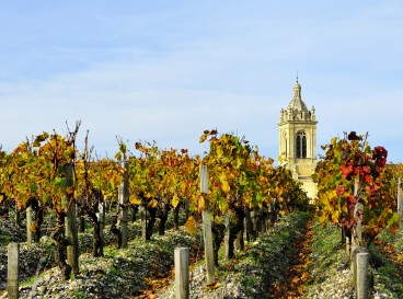 Les Portes Ouvertes des Vignobles Bordelais : Un Automne Propice à l'Exploration