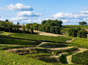 Discover the Bordeaux vineyards with electric bike