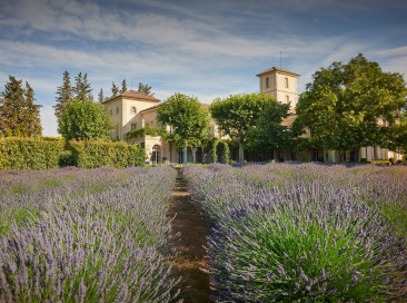A new Bulle Verte opens its doors in Provence, come and discover Château Gigognan!